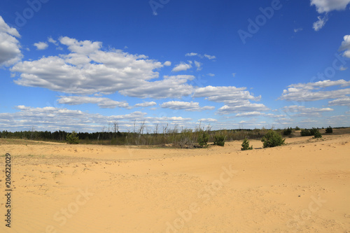 sandy desert landscape