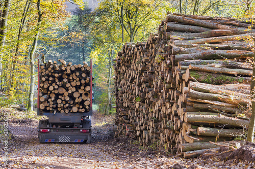 Holztransport