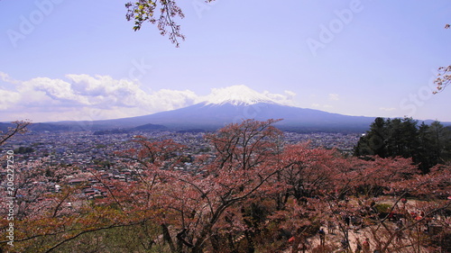 View of mount Fuji from Chureito pagoda