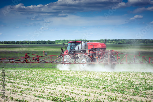 self-propelled sprayer makes herbicide on the field of young corn photo