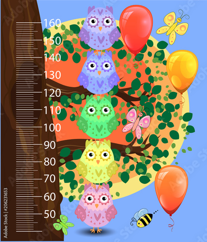 Kids height meter with cute owls. Funny stadiometer from 50 to 160 centimeter.