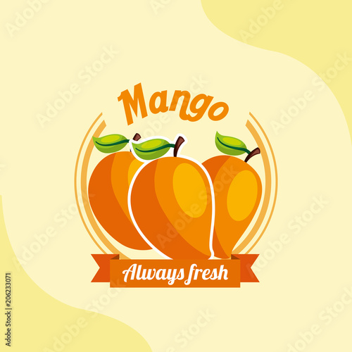 fruit mango always fresh emblem vector illustration