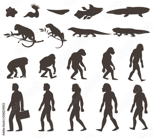 Human Darwin Evolution Silhouettes Set