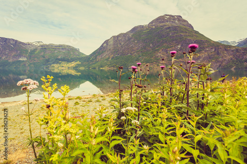 Mountains and fjord in Norway, photo