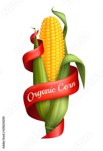 Realistic Corn With Ribbon