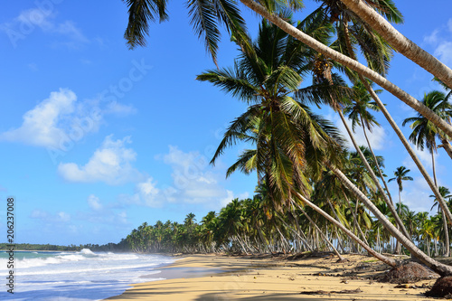 Limon beach wild and hard to reach on the south coast of Dominican Republic