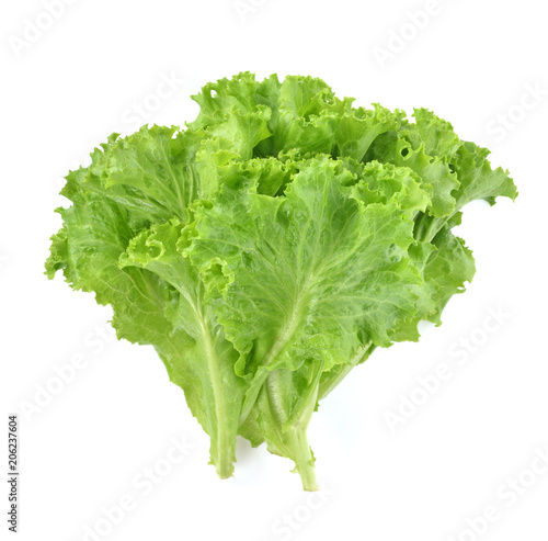butter head lettuce,Crisp Head,Iceberg isolated on white background