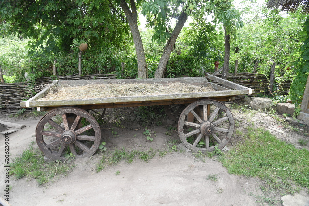 Foto Stock cart, wheel, old, wagon, wooden, wood, carriage, antique,  vintage, farm, transport, grass, horse, green, transportation, rural, wheels,  garden, rustic, retro, western, vehicle, historic, village, coun | Adobe  Stock