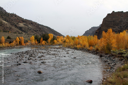 Shoshone River