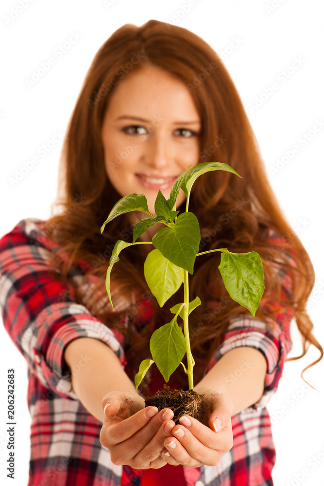 attractive Beautiful young woman holds seedling isolated over white background attractive Beautiful young woman holds seedling isolated over white background