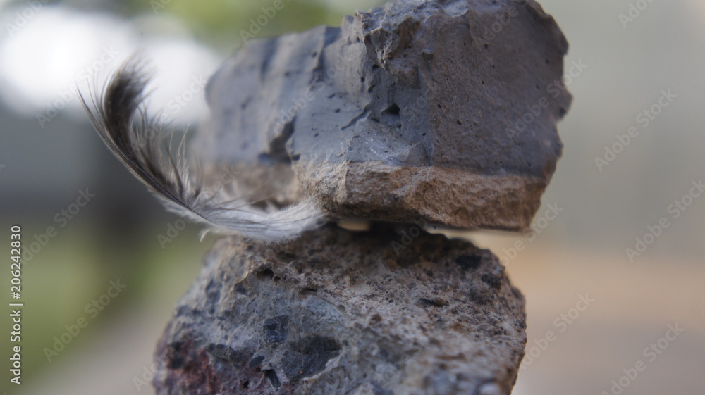 Stone And Feather Stone And Feather