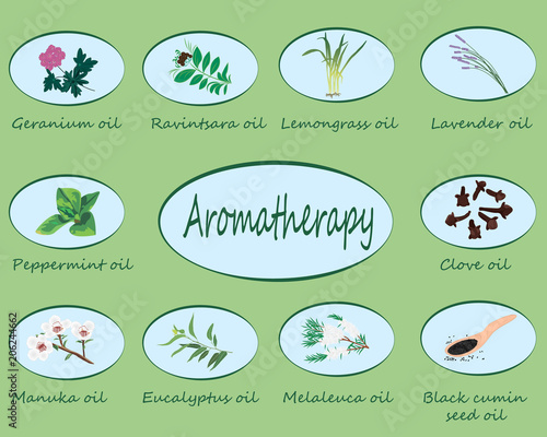 Set of essential oils vector illustration Aromatherapy