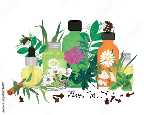 Set of essential oils vector illustration Aromatherapy