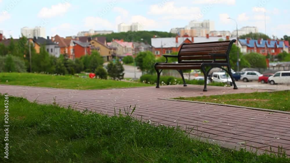 Summer Park Wooden Bench Summer Park Wooden Bench