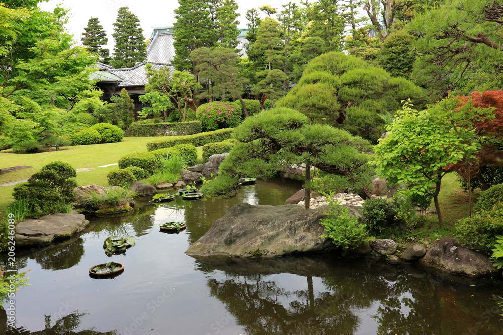 natural view of Japanese green garden.