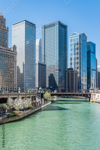 Chicago River and downtown Chicago skyline  USA