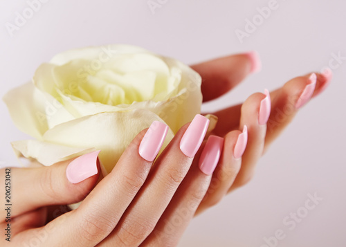 Elegant female hands with Pink Manicured Nails. Beautiful fingers holding rose flower. Gentle Manicure with light Polish