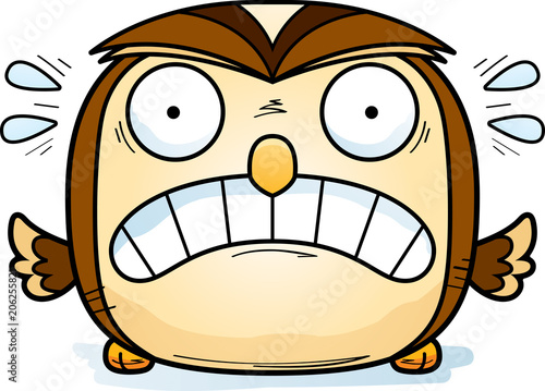 Scared Little Owl