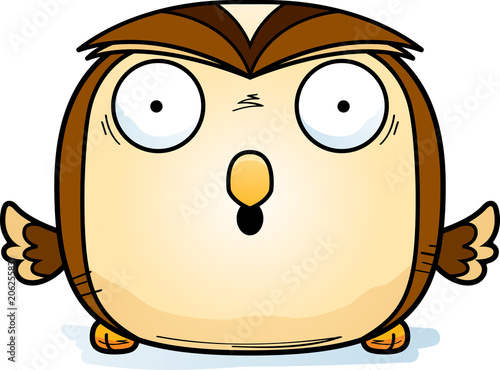 Surprised Little Owl