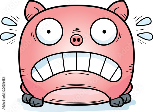 Terrified Little Pig
