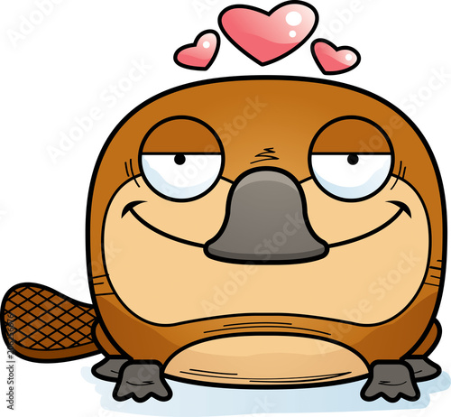 Cartoon Platypus Love