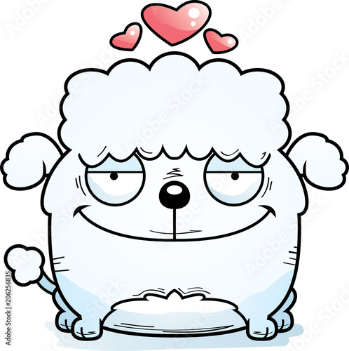 Little Poodle in Love