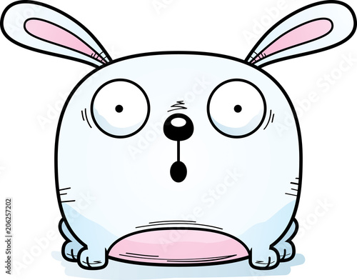 Surprised Little Rabbit