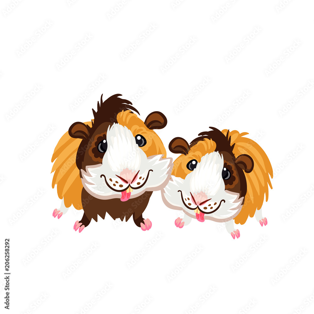 Two funny cartoon Guinea pigs clipart illustration vector Stock Vector