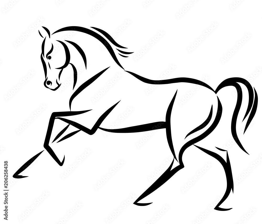 A sketch of a freely cantering horse.