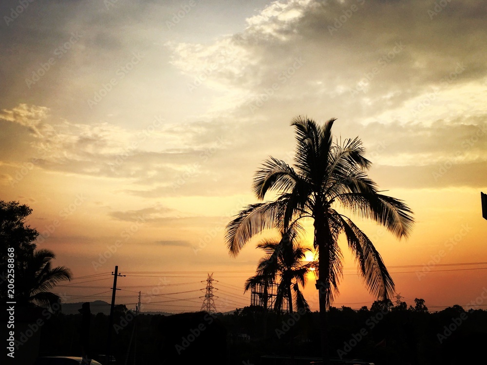 Sunset out of the city cloudy evening with trees Sunset out of the city cloudy evening with trees