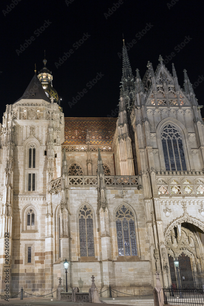 Night Cathedral of St. Elizabeth in Kosice, Slovakia.