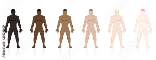 Skin types. Six naked men of different ethnic colors from black to brown to fair. Isolated vector illustration on white background.