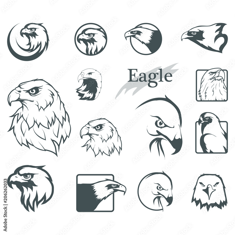 Clip Art Black And White Eagle Logo  Black And White Eagle Sketch HD Png  Download  Transparent Png Image  PNGitem