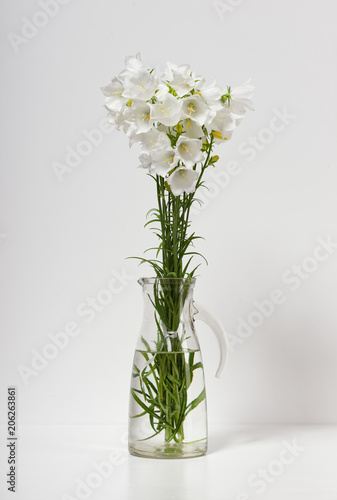 bellflower in a vase on a table by the wall  white background