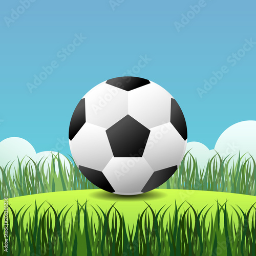 Football on grass and bushes with sky background  illustration.Soccer with green field.