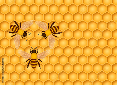 Fototapeta Naklejka Na Ścianę i Meble -  Honeycomb seamless background with bees. Vector illustration.