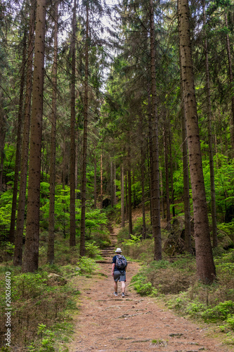 Mann mit Rucksack und Hut wandert in einem Wald im Gebirge