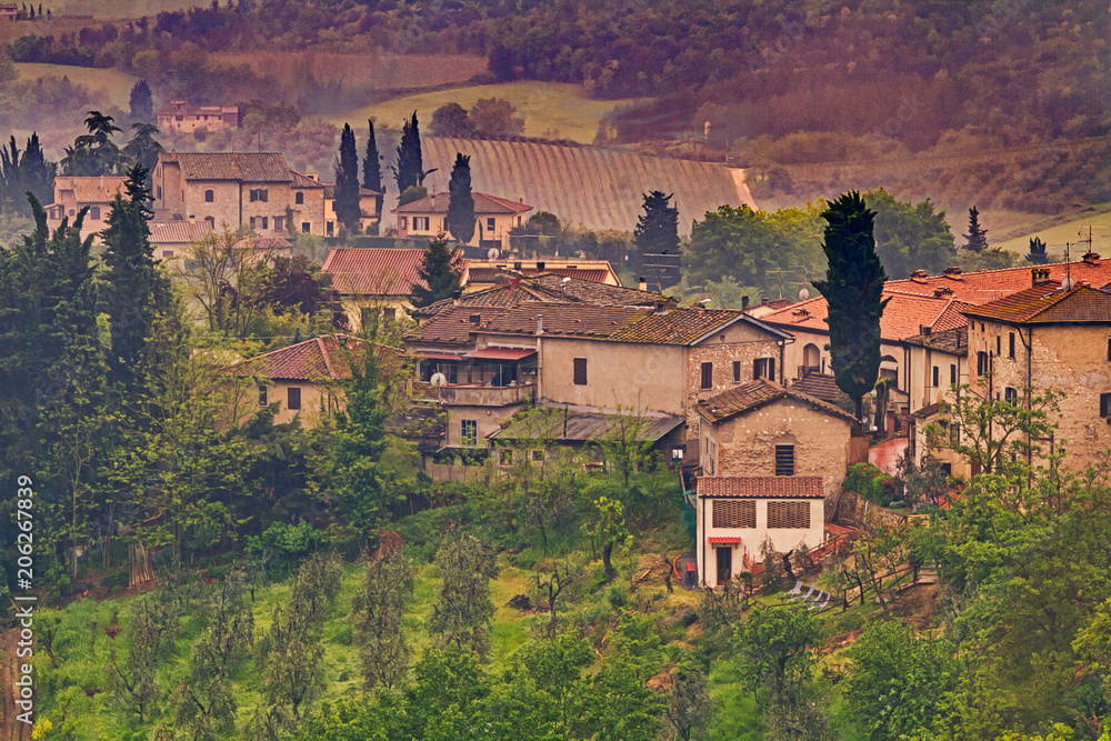 Vineyards and hillside outside San Gimignano, Italy on a rainy day