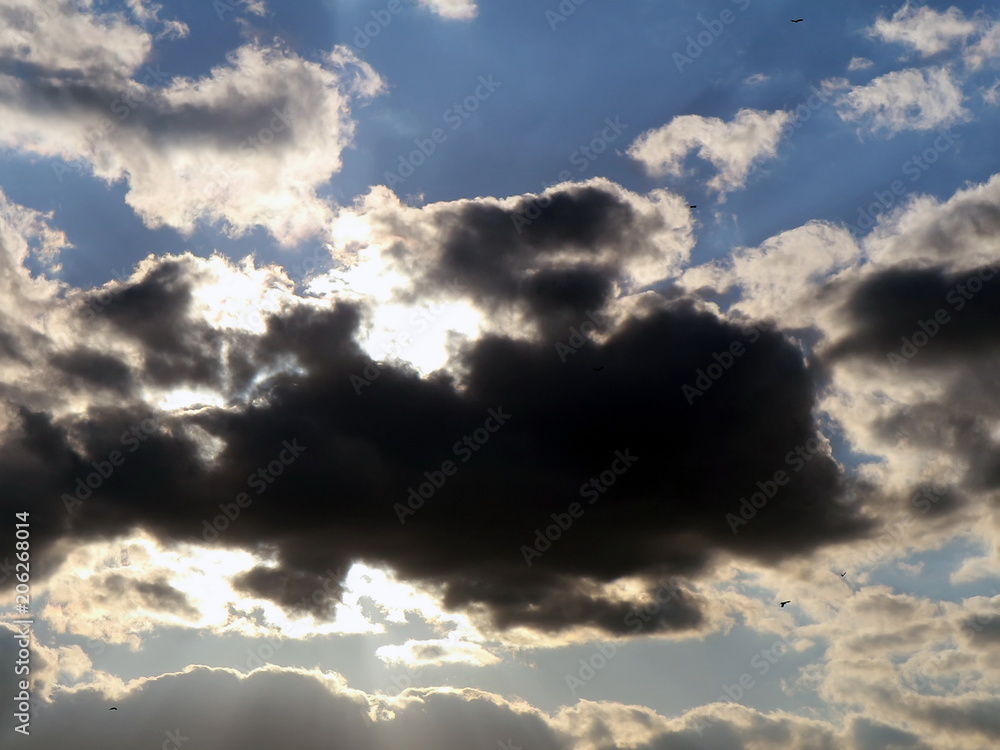Fototapeta premium Sky. Cloudy sky. Clouds