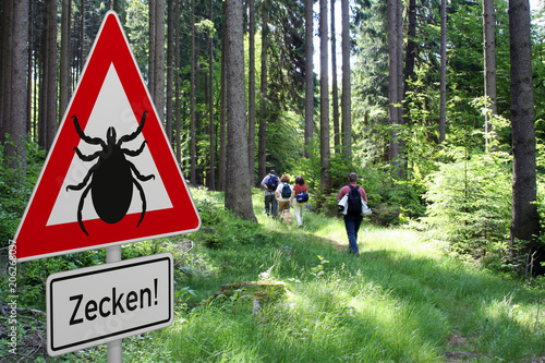 Schild mit Zeckenwarnung in gefährdetem Gebiet im Wald