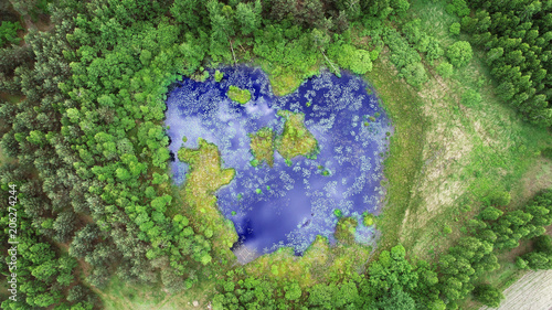 Aerial view from drone- pond in the forest