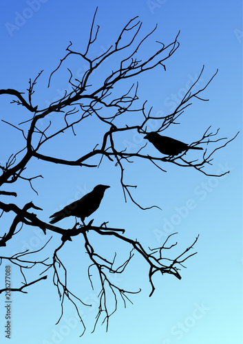 Black vector silhouettes of two birds sitting on a branch on blue background.