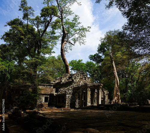 Cuadro en lienzo tempel covered by tree