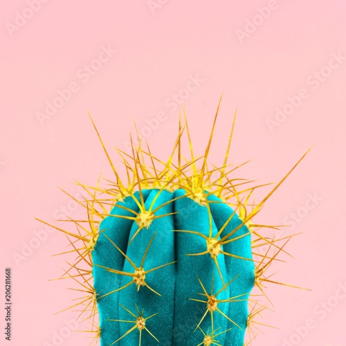 Blue neon cactus on a pink background. Mimimal fashion design concept.