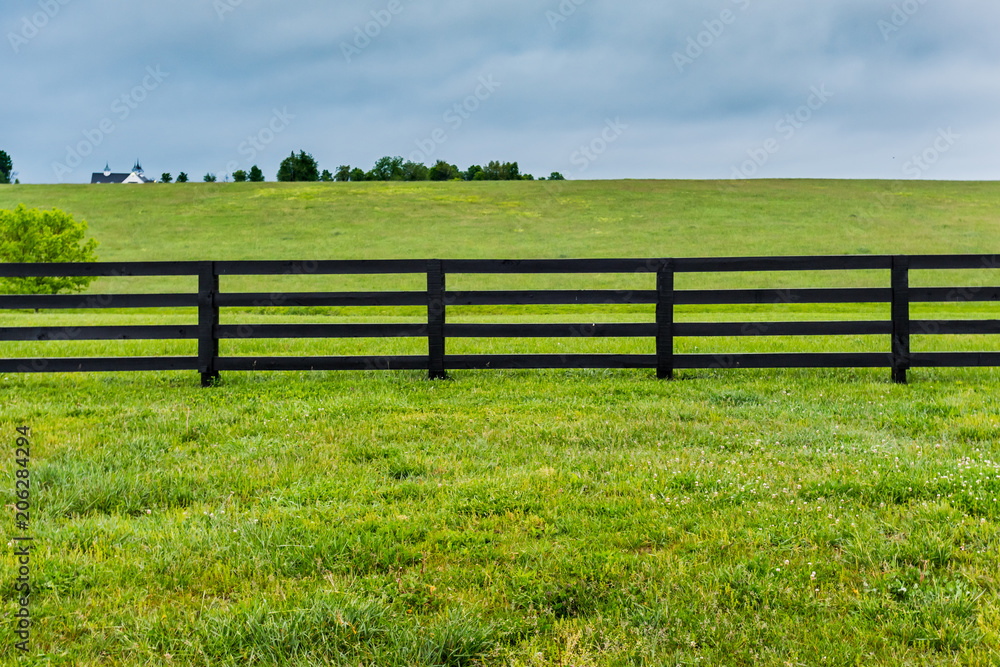 Section of Horse Fence and Pasture