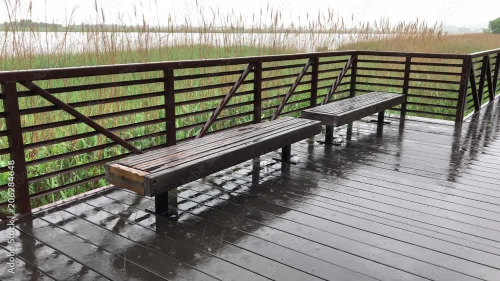 Empty wet benches on the boardwalk with vegetation in the background during a rain storm. Empty wet benches on the boardwalk with vegetation in the background during a rain storm.