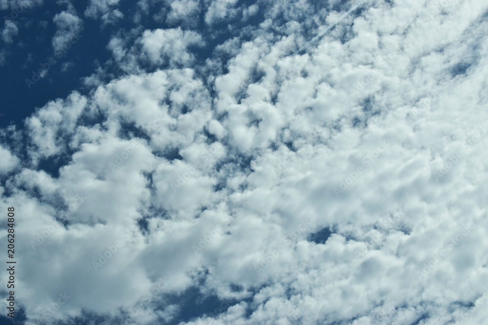 blue sky with cotton like clouds blue sky with cotton like clouds
