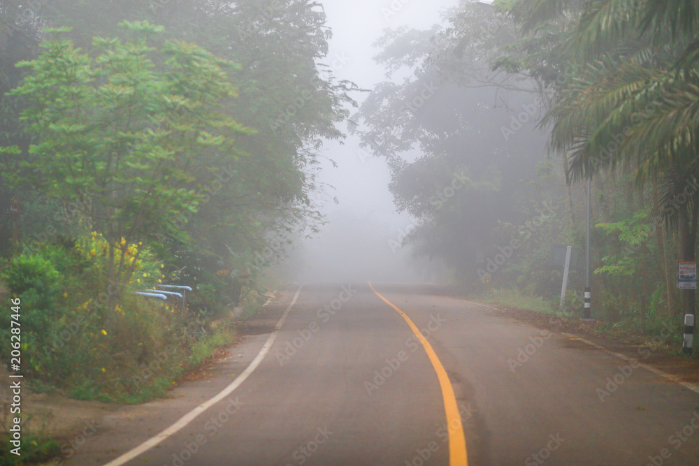 Morning walk Foggy (Cyclists, motorcyclists) are refreshed during the day. And prepare for the journey. The traffic is not difficult to travel. Morning walk Foggy (Cyclists, motorcyclists) are refreshed during the day. And prepare for the journey. The traffic is not difficult to travel.