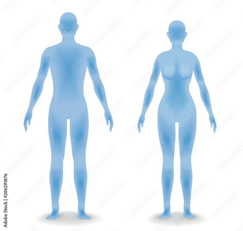 男女の人体シルエット 男女の人体シルエット