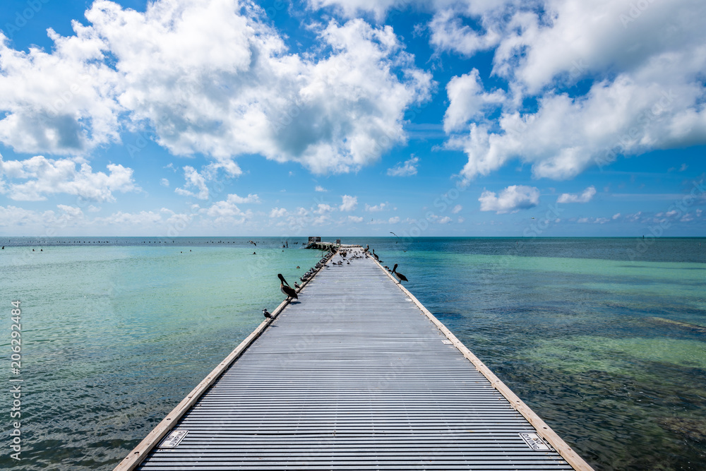 Fototapeta premium Higgs Pier at Midday